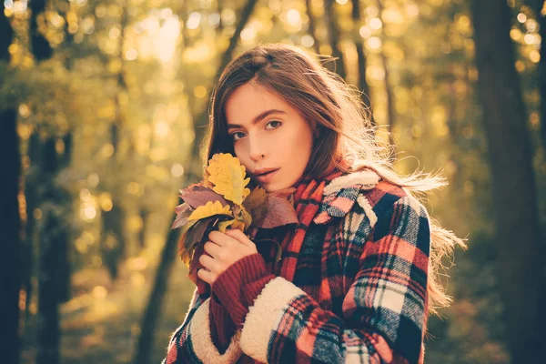 Boldog lány az Autumn Parkban. Az őszi fa hátteret hagy az égen. Szabadság koncepció. Őszi vásár. Gyönyörű őszi nő őszi természet háttér. — Stock Fotó