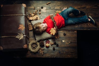 Küçük şirin çocuk sonbahar yaprakları ile bir ahşap zemin üzerinde yatıyor ve kitap okumak. Sonbaharda oynayan çocuk. Çocuklar için bütün sonbahar kıyafetleri için en büyük indirimler.