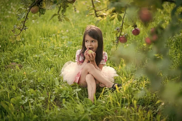 Linda niña comiendo manzana bajo un árbol enorme —  Fotos de Stock