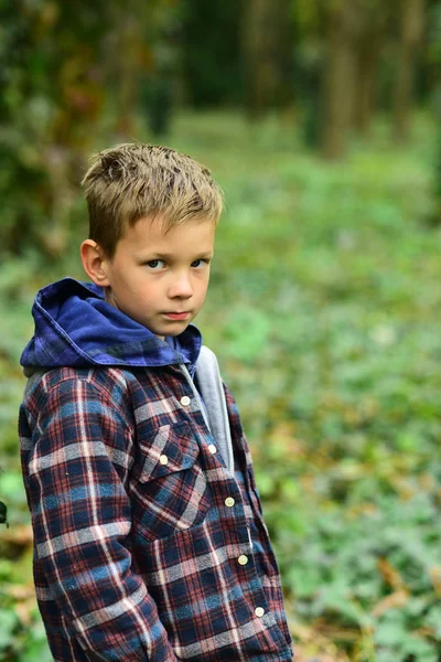 A perfect day for camping. Little boy gone camping in woods. Little boy hiking in autumn forest. Enjoying camping trip — Stock Photo, Image