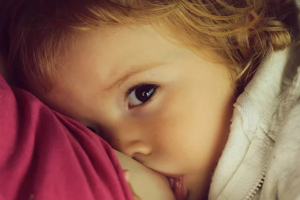 乳房を与えられた金髪のハシバミ目の赤ちゃん — ストック写真