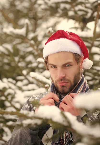 Guy op besneeuwde sparren op natuurlijke omgeving — Stockfoto