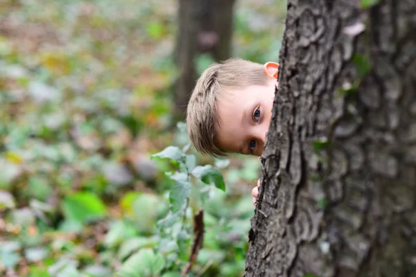 Der Nervenkitzel liegt in der Entdeckung. Kleine Jungen spielen Verstecken. Kleine Jungen spielen gerne im Freien. Es ist ein Versteckspiel. sein fantastisches Spiel — Stockfoto