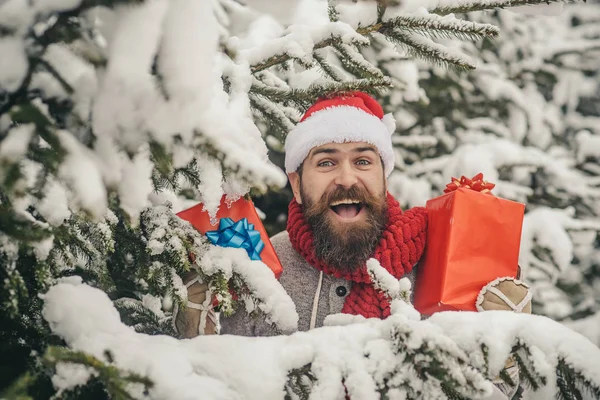 Noël heureux homme tenir boîte cadeau dans la forêt enneigée d'hiver — Photo