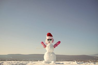 Kardan adam pembe peruk, eldiven, şapka ve gözlük.