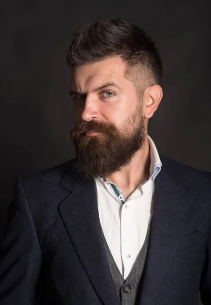 The best hipster beard style ever. Fashion model with long beard hair. Bearded man with stylish haircut. Man of fashion. Bring your hair style to the next level