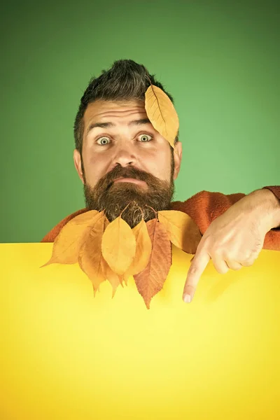 가 남자는 혼란 스 러 워 얼굴에 수염에서 나뭇잎 — 스톡 사진