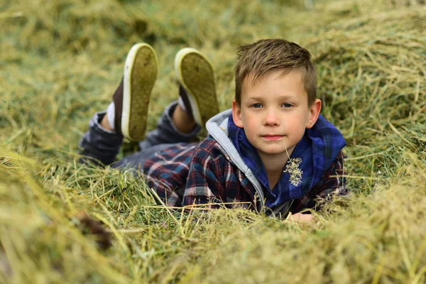 Min egen njutning. Liten pojke koppla av på vetefält. Liten pojke på gården fält. Odla och växer vete. Njuter av enkla saker — Stockfoto