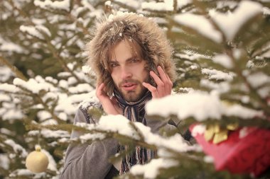 Adam köknar ağaçları karlı niteliğine