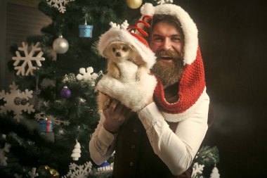 Parti kutlama ve Noel.