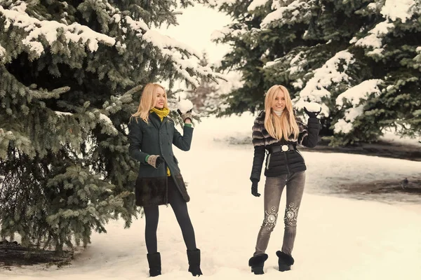 Mujeres sonriendo con el pelo largo y rubio en madera de nieve —  Fotos de Stock