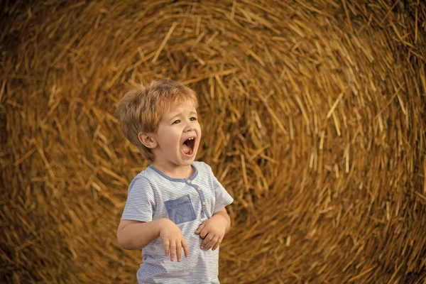 Kind op de baal hooi op boerderij veld, vakantie — Stockfoto