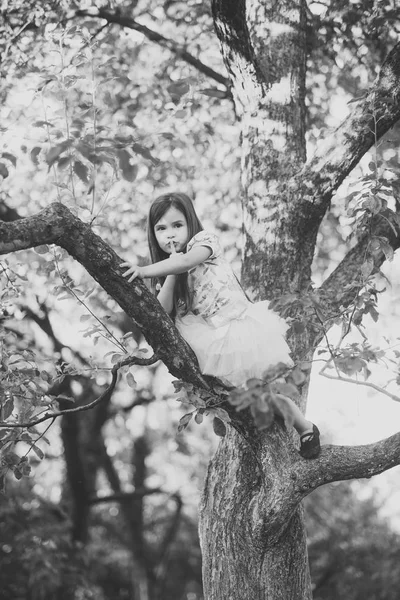 Aktivitet, liten flicka klättra träd i sommarträdgård — Stockfoto