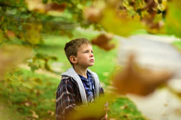 Hope and dreams. Little boy full of hope for bright future. Little boy daydreaming in garden. I do hope — Stock Photo, Image