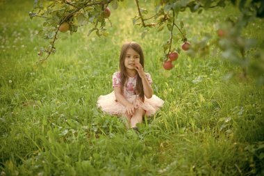 Gıda, meyve, vitamin