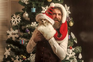 Mutlu yüz ve evde beslenen hayvan sakallı Noel adam.