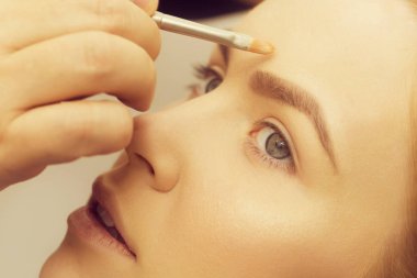 Kadın yüz fırça ile Tarih Vakfı krem almak