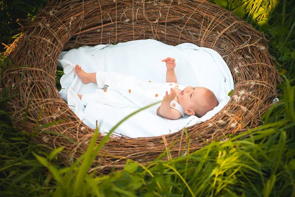 Happy novorozeně v proutěném hnízdě. Happy baby balíček. Novorozence dívka nebo chlapec šťastný úsměv. Každý pták má rád svou vlastní hnízdo. Štěstí se rodí — Stock fotografie