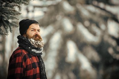 karlı kış soğuk orman, sakallı Noel adam