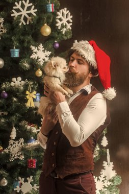 Köpek yıl kış tatili ve xmas.