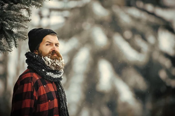 karlı kış soğuk orman, sakallı Noel adam