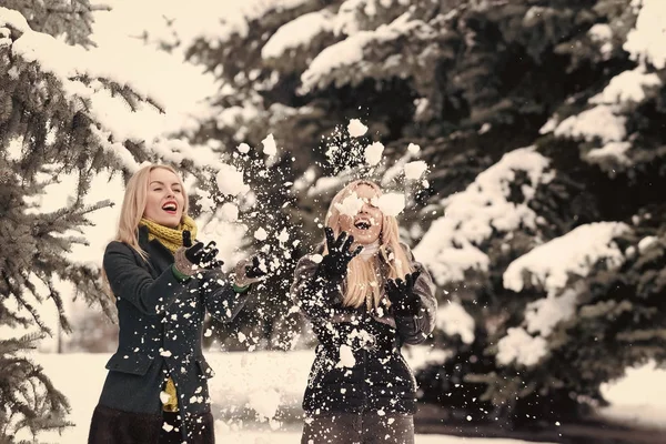 Mujeres o niñas jugando bolas de nieve en el bosque en el día de invierno —  Fotos de Stock