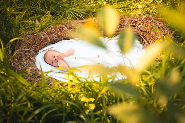 Règles de soins. Petit bébé nouveau-né sur la nature estivale. Bébé fille ou garçon. Petit nouveau-né en berceau. Suivre les règles de garde — Photo