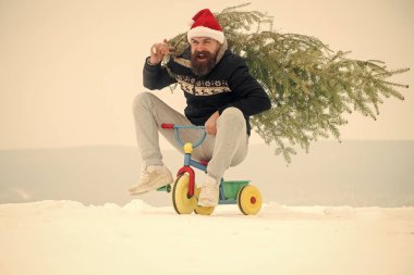 Tatil kutlama kavramı