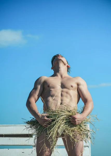 Doskonały widok. Mężczyzna odpoczynek w letni dzień. Sexy man z mięśni ciała. Muskularny mężczyzna z sześciu pack abs. nagi facet z sexy ciało obejmujące z siana. Człowiek z mięśni. Letnie upały — Zdjęcie stockowe