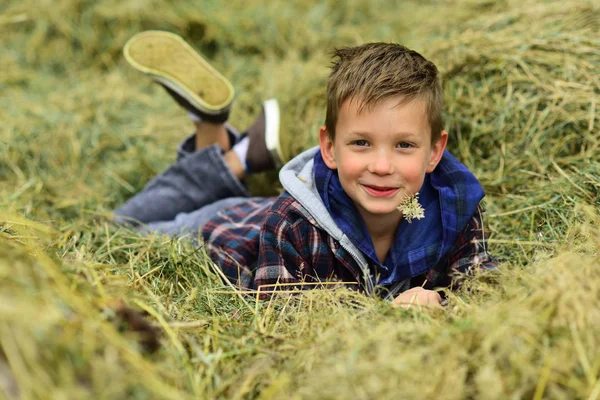 生命的春天。小男孩在农村享受春天的时光。小男孩躺在干草里放松。春天又回来了 — 图库照片