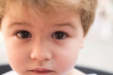 Üzülüyor. Şık saç kesimi ile küçük bir çocuk. Kısa saç kesimi ile küçük bir çocuk. Sarı saçlı küçük bir çocuk. Çocuklar için sağlıklı saç bakım ipuçları. Saç bakım ürünleri. Sağlıklı saç alışkanlıkları erken oluşturma