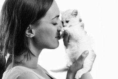 izole kedi yavrusu güzel kadınla