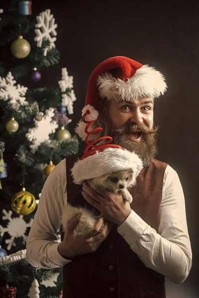 犬の新しい年 男は子犬を保持します 犬年冬休みとクリスマス ツリーでペットと一緒にサンタ クロース男 パーティーのお祝いとクリスマス クリスマス幸せな顔とペットのひげの男 ポメラニアン スピッツ — ストック写真