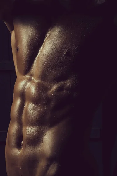 男性の筋肉胴 — ストック写真