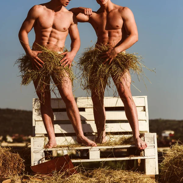 Really sensual. Sexy men enjoy summer day. Pair of twins with muscular body in summer. Muscular men with six pack abs. Naked twins with fit body covering by hay