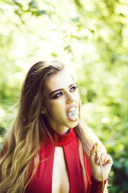 Karahindiba güzel kadınla