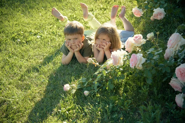 Chlapec a dívka v rozkvetlé květy růže na trávníku — Stock fotografie