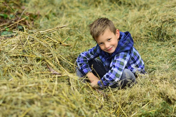我是个农场男孩。农场谷仓里的小男孩。小男孩喜欢乡村农场度假。小孩在干草堆里放松。农场听起来很不错很宁静 — 图库照片