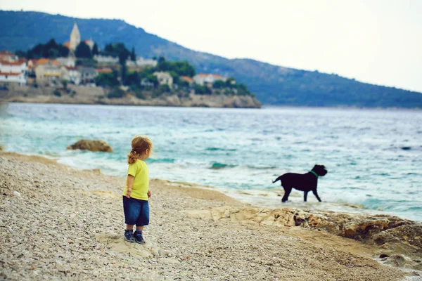 Bebé niño juega con perro — Foto de Stock