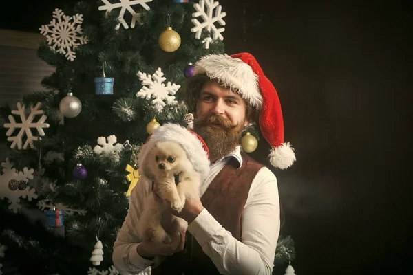 Christmas man with beard on happy face and pet. — Stock Photo, Image