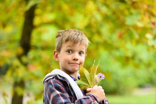 The leaves fall in the autumn. Little boy hold autumn leaves. Little boy enjoy playing on autumn landscape. Autumn is a second spring when every leaf is a flower — Stock Photo, Image