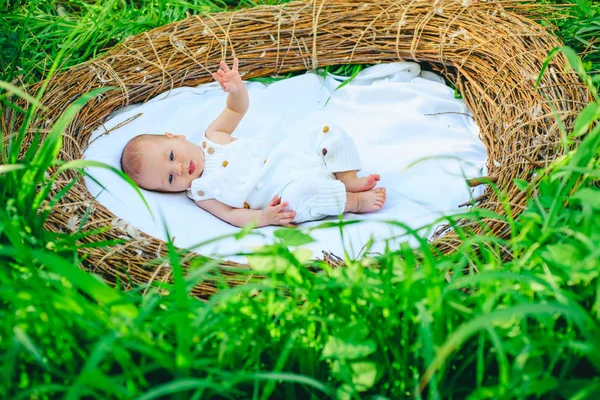 Bebé recién nacido en cuna de mimbre. El tratamiento de infertilidad afecta la salud del bebé recién nacido. Ecología y salud. La salud es una bendición. Demografía y ecología humana. Problema de infertilidad —  Fotos de Stock