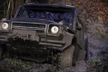 Derin su birikintisine sıkışmış çamur kaplı Suv.