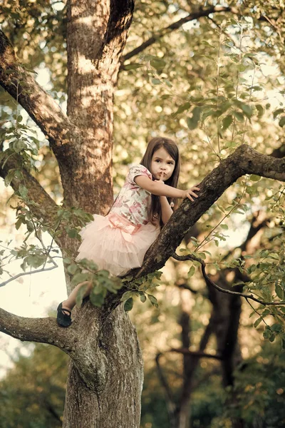 Activity, little girl climb tree in summer garden — Stock Photo, Image