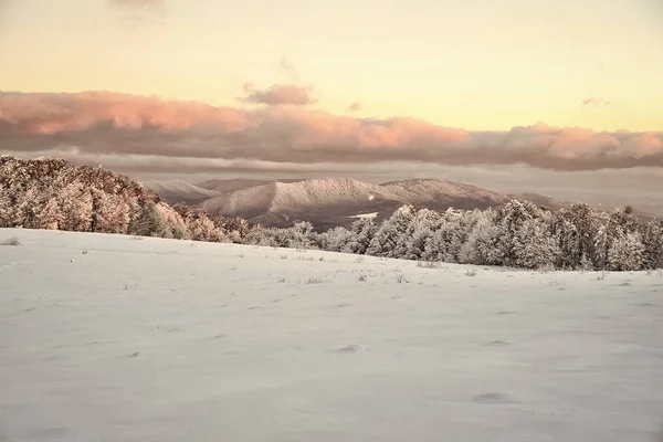 Гарні зимовий пейзаж — стокове фото
