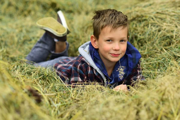 Soy un chico de pueblo. Un niño en el pueblo. El niño disfruta de la vida en el campo. Un niño pequeño yace en el heno del granero. Una maravillosa manera de relajarse — Foto de Stock