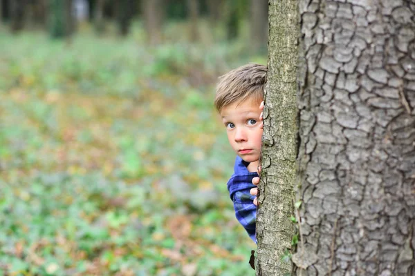 Jeder Tag birgt eine Überraschung. kleiner Junge versteckt sich hinter Baum. kleiner Junge beim Peekaboo-Spiel im Wald. Was für eine Überraschung — Stockfoto