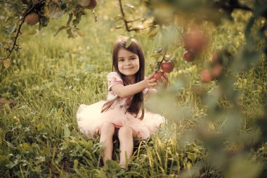 Meyve diyet için çocuk sağlığı, vitamin