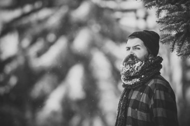karlı kış soğuk orman, sakallı Noel adam