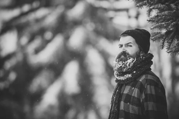 Karlı kış soğuk orman, sakallı Noel adam — Stok fotoğraf